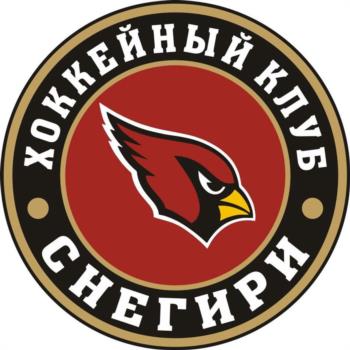 ХОККЕЙНЫЙ КЛУБ СНЕГИРЬ