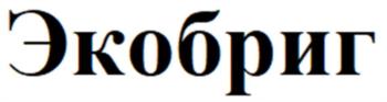 Экобриг