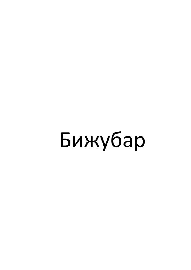 Изображение товарного знака Бижубар