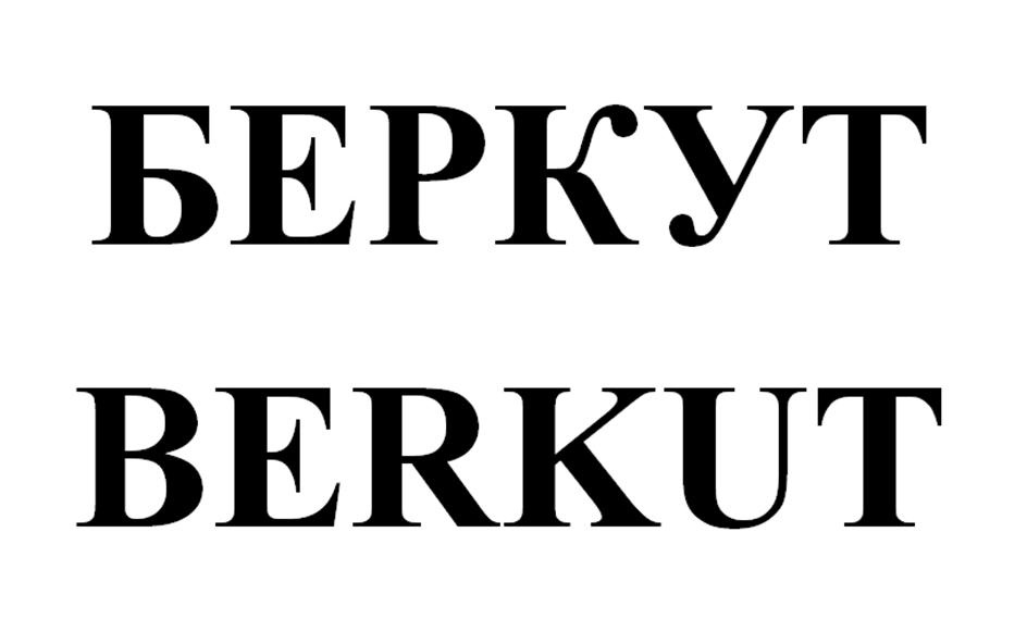 БЕРКУТ BERKUT