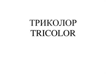 (изобразительный знак)