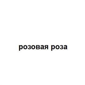 розовая роза