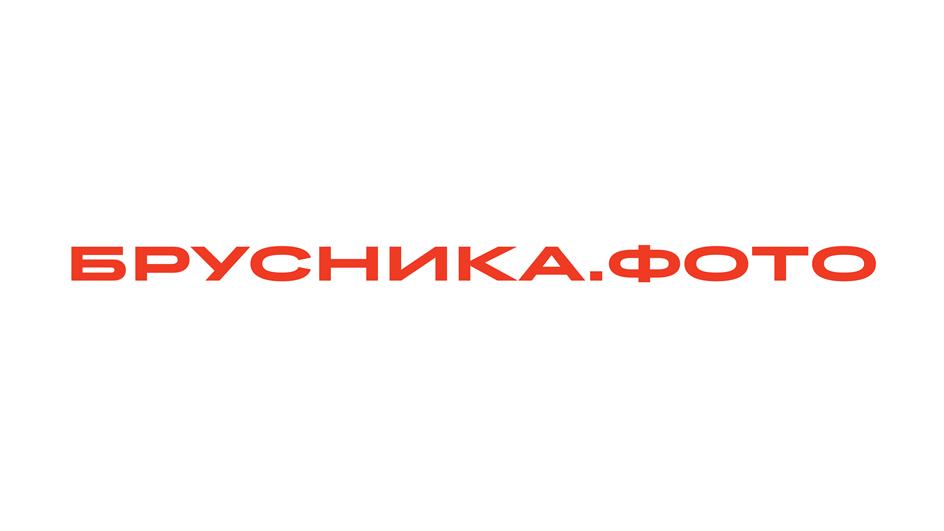 БРУСНИКА.ФОТО