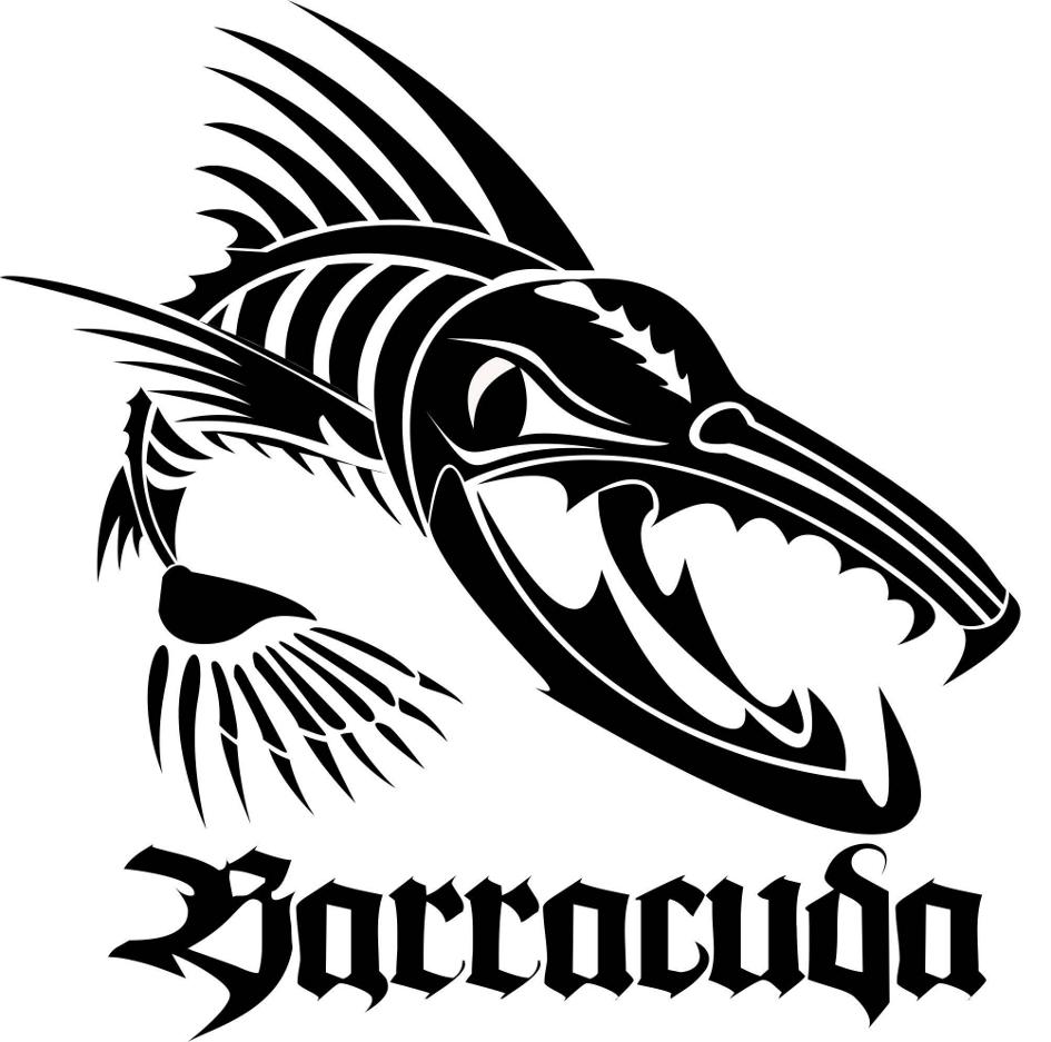 Barracuda