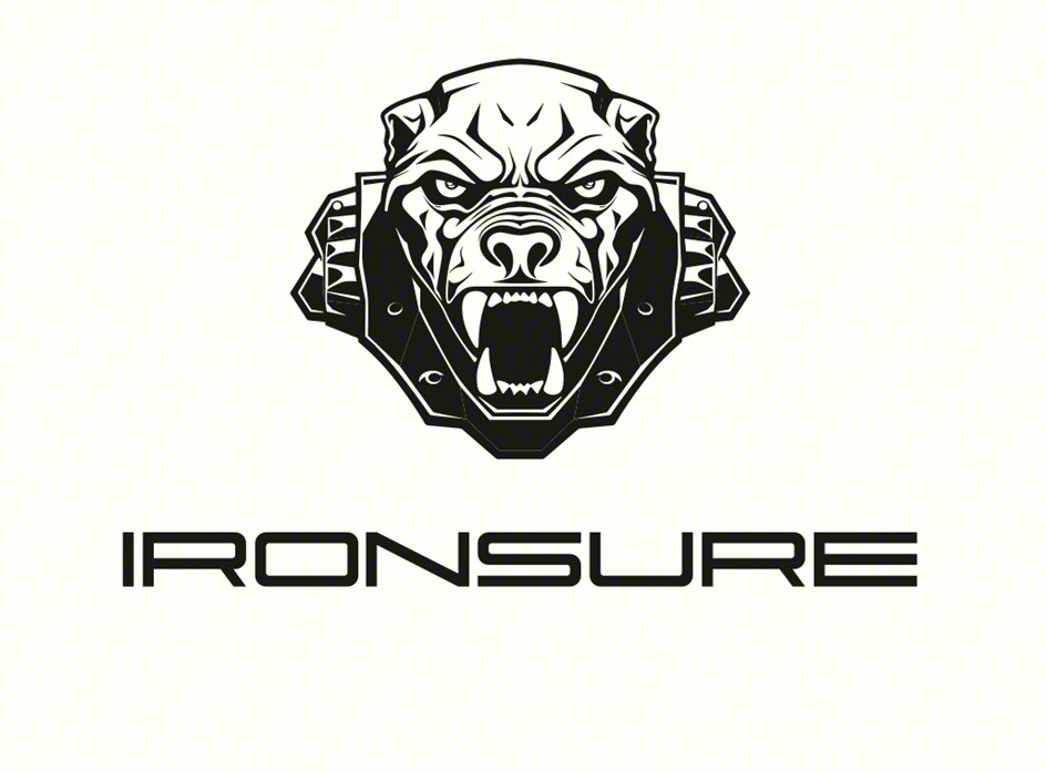 Изображение товарного знака IRONSURE
