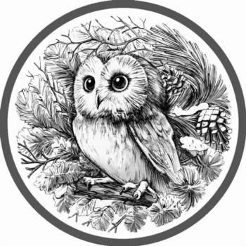 Изображение товарного знака (изобразительный знак)