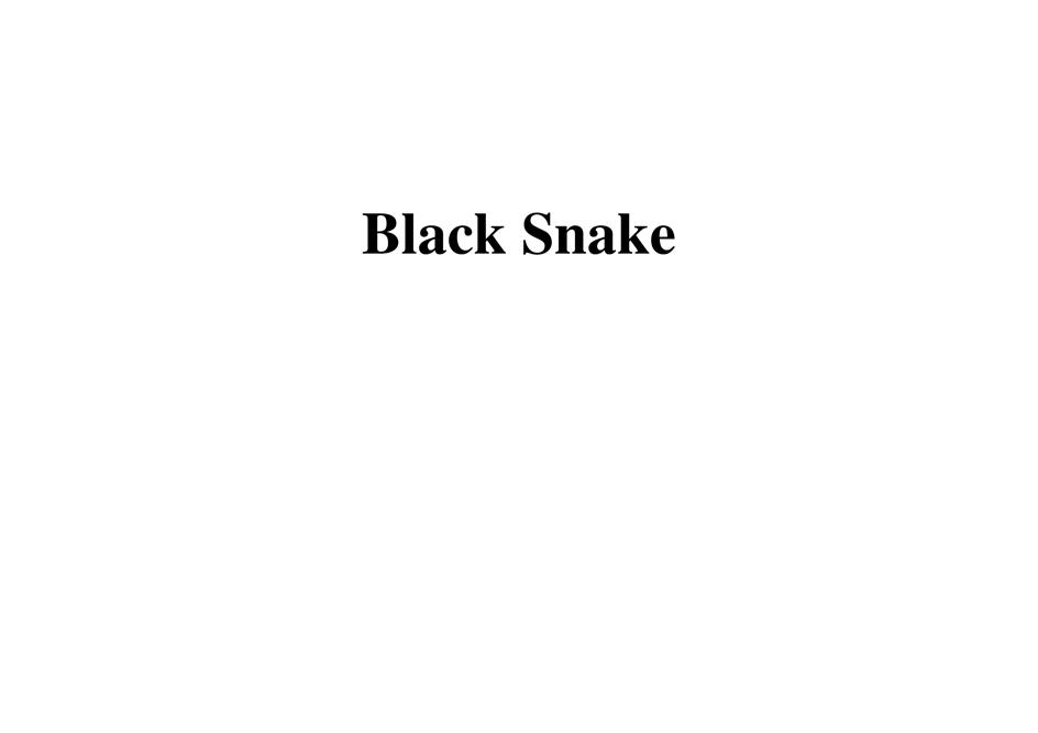 Изображение товарного знака Black Snake