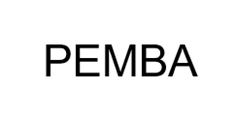 Изображение товарного знака REMBA