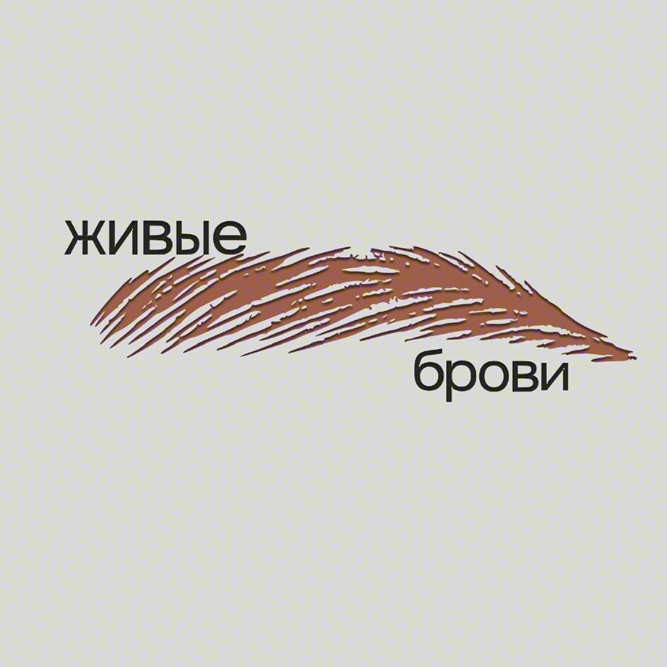 ЖИВЫЕ БРОВИ