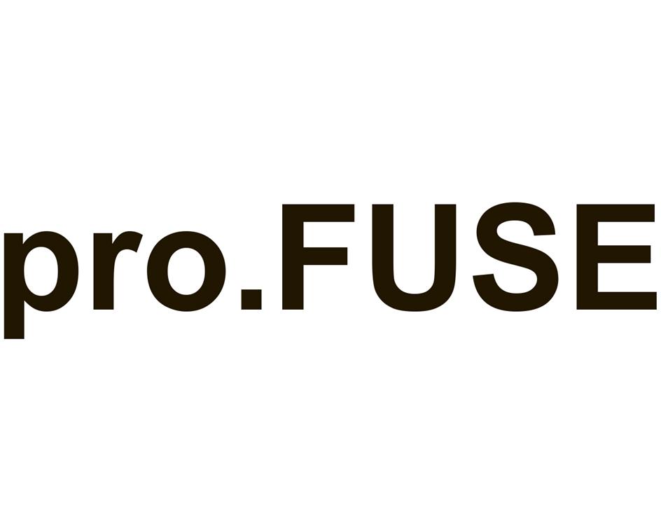 Изображение товарного знака pro.FUSE