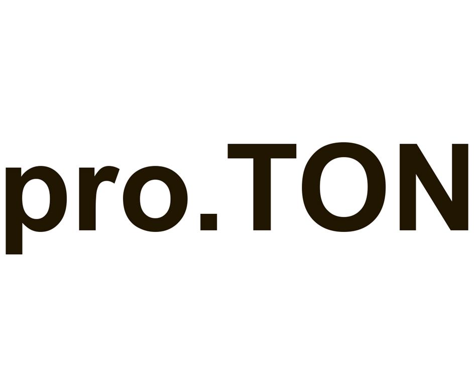 Изображение товарного знака pro.TON