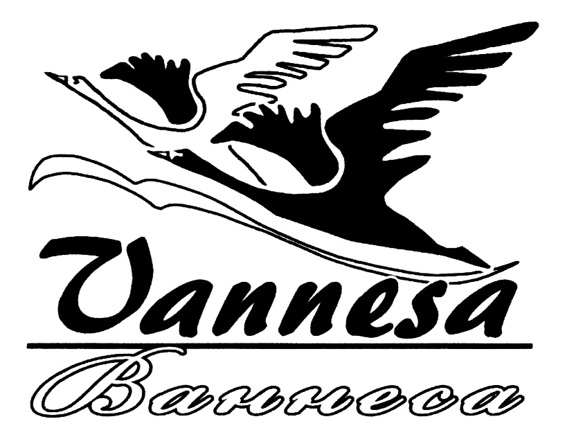 Изображение товарного знака Vannesa Banneca