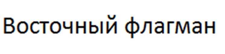 Восточный флагман