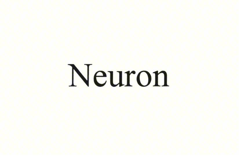 Neuron