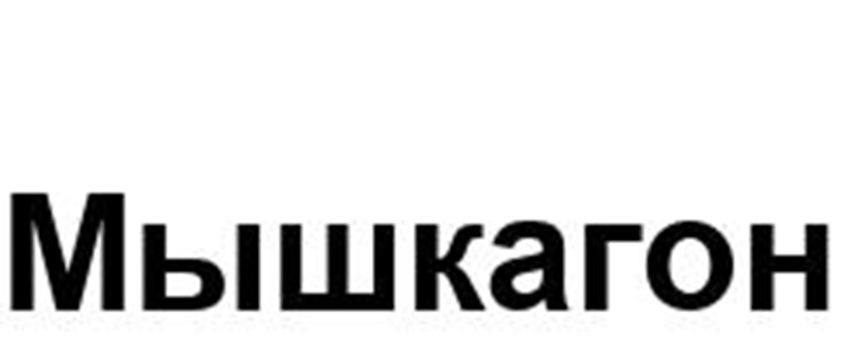 Мышкагон