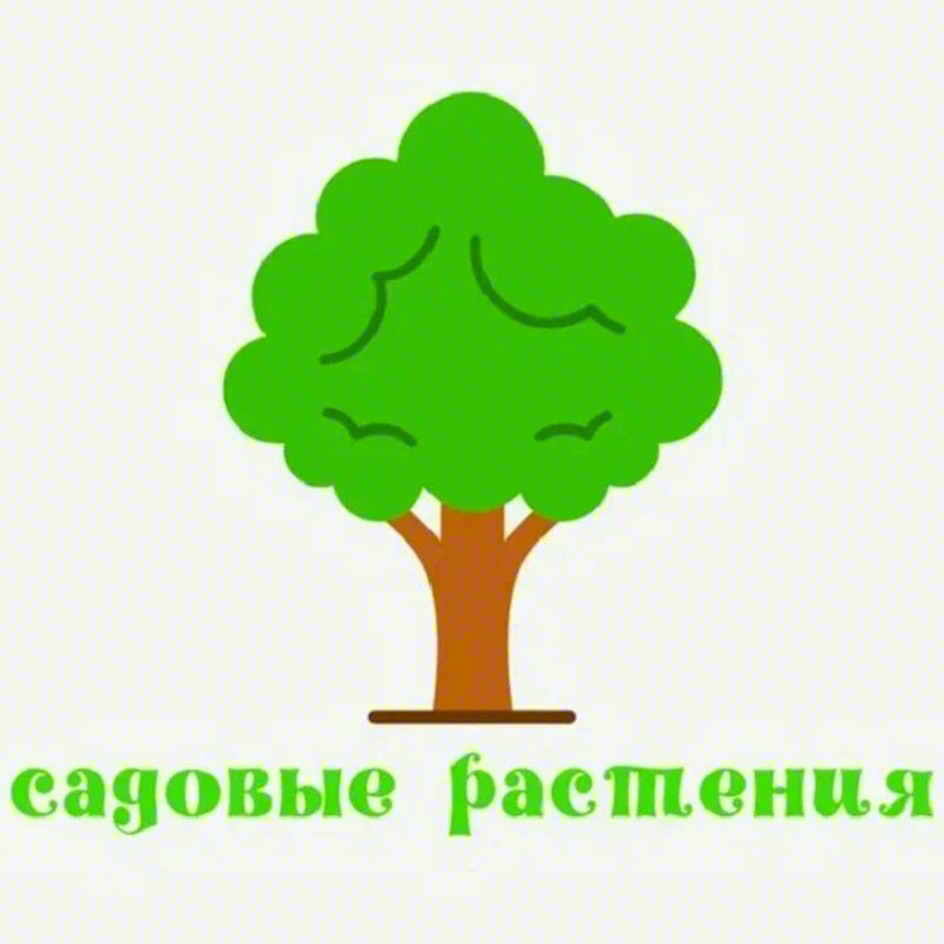 садовые растения