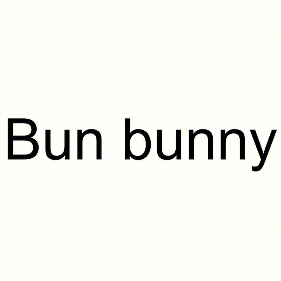 Bun bunny