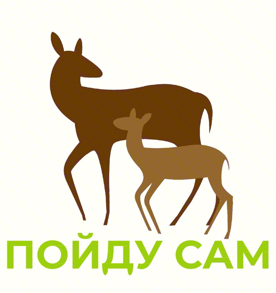 ПОЙДУ САМ