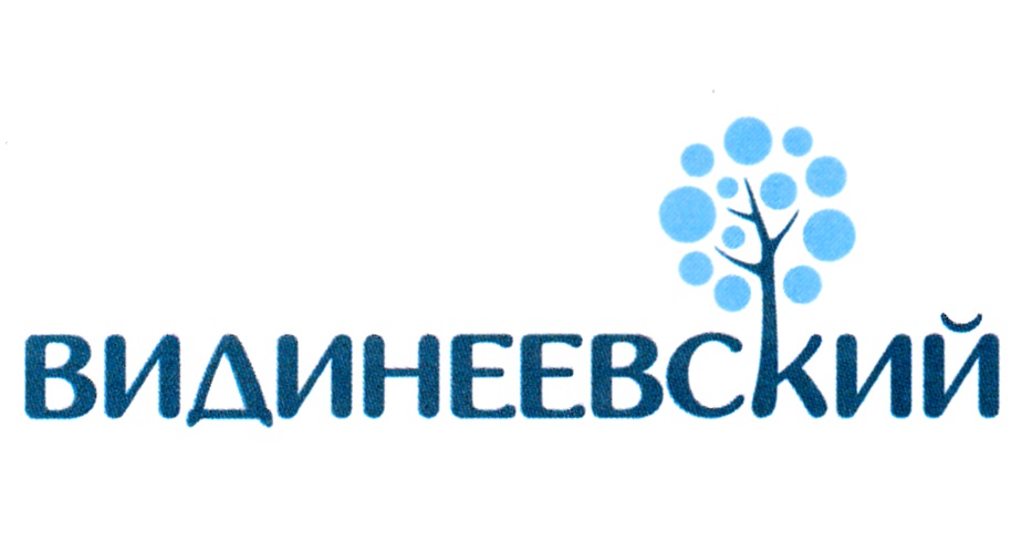 ВИДИНЕЕВСКИЙ