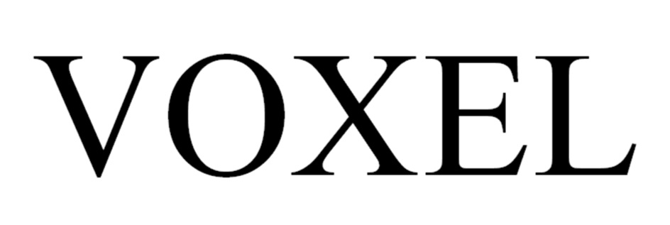 VOXEL