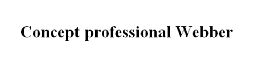 Concept professional Webber