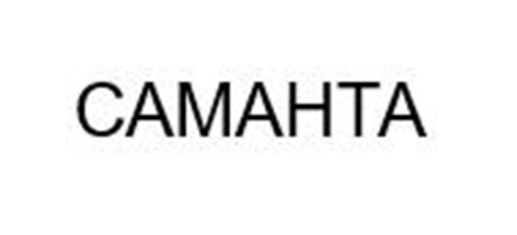 Изображение товарного знака (изобразительный знак)