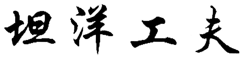 坦 洋 工 夫
