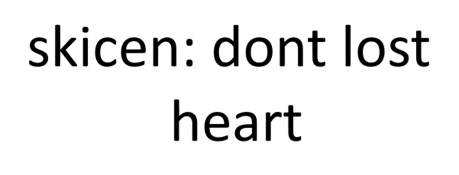 Изображение товарного знака skicen: dont lost heart