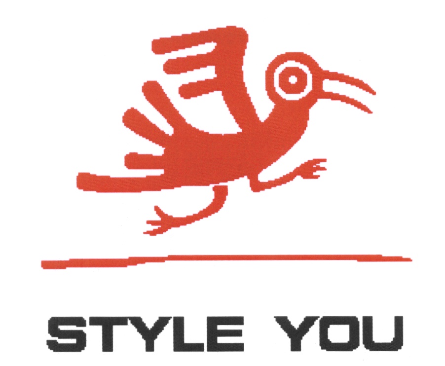 STYLE YOU