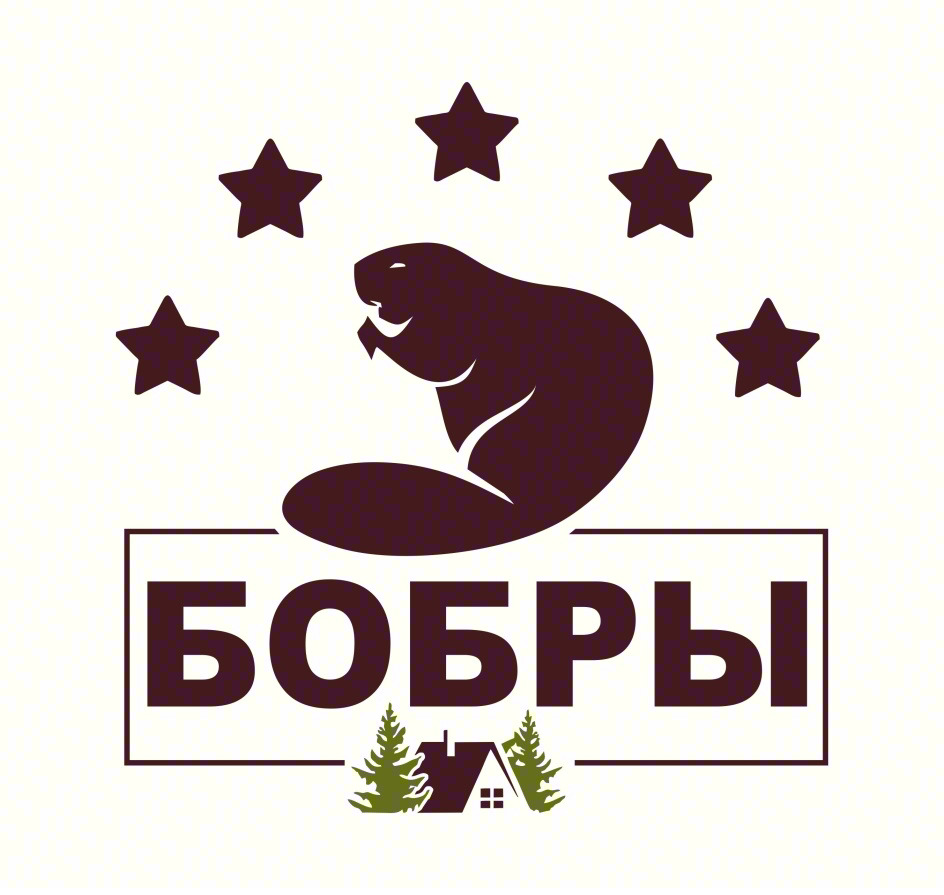 БОБРЫ