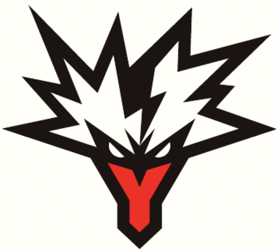 Y