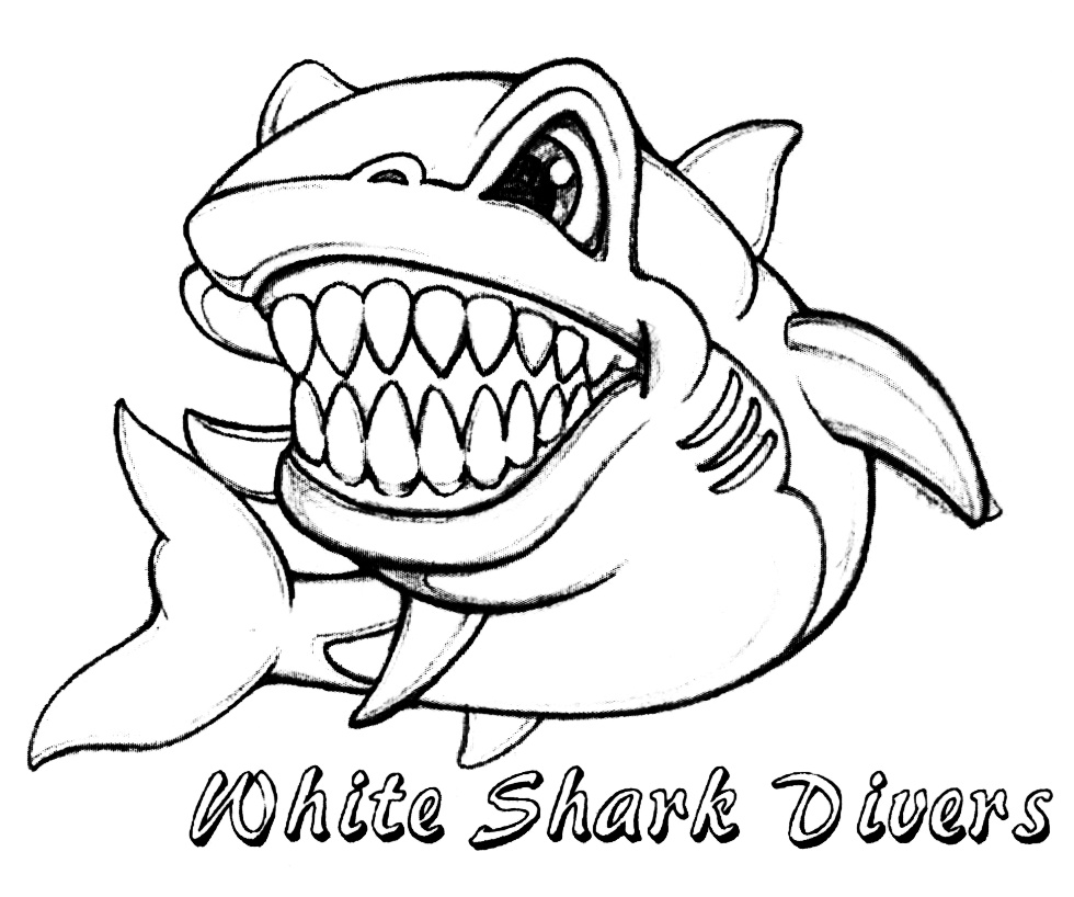 White Shark Divers