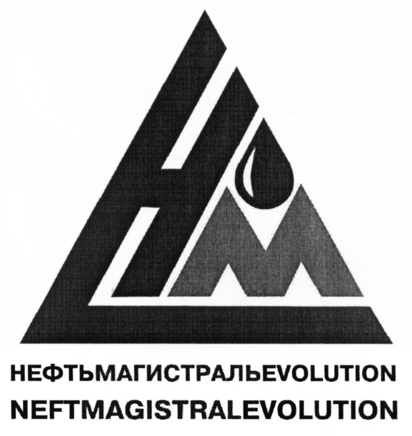 Изображение товарного знака НЕФТЬМАГИСТРАЛЬEVOLUTION NEFTMAGISTRALREVOLUTION