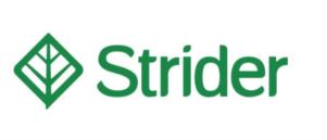 Strider