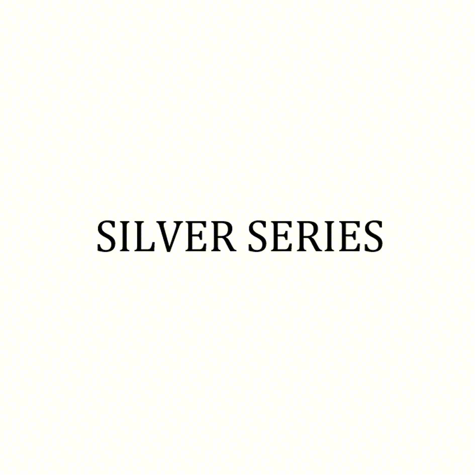 Изображение товарного знака SILVER SERIES