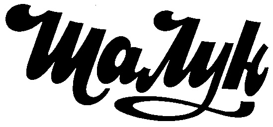 Walyk
