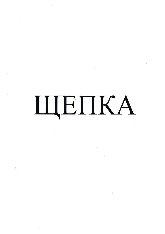 Изображение товарного знака (изобразительный знак)