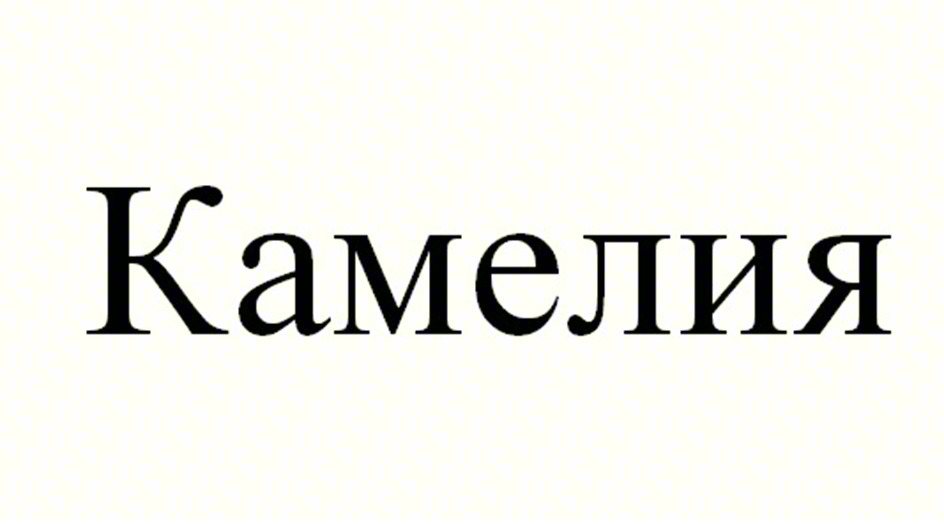 Камелия