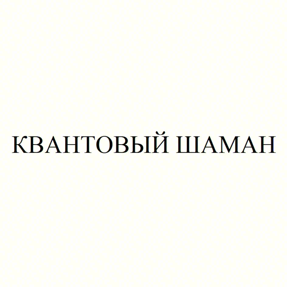 КВАНТОВЫЙ ШАМАН