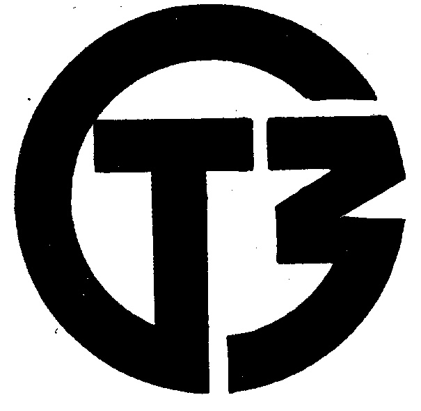 T3