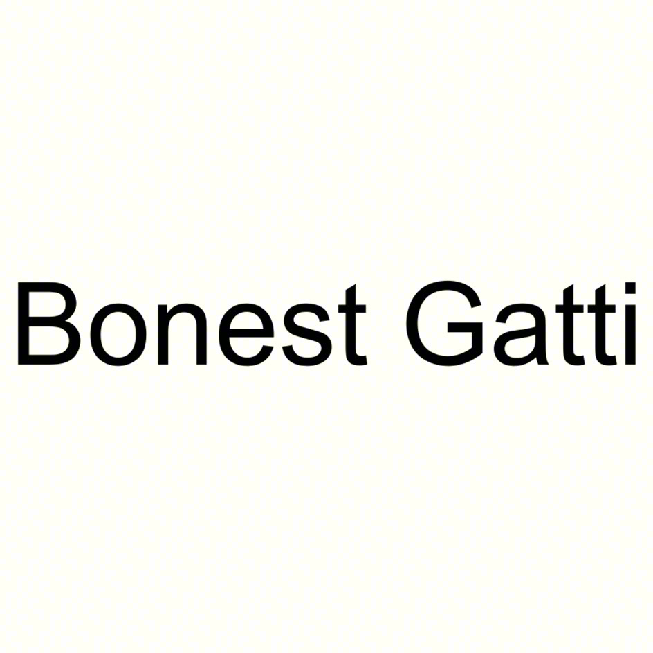 Изображение товарного знака Bonest Gatti