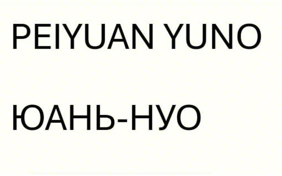 Изображение товарного знака PEIYUAN YUNO ЮАНЬ-НЮО