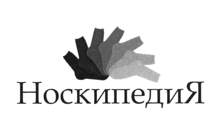 Изображение товарного знака Носкипедия