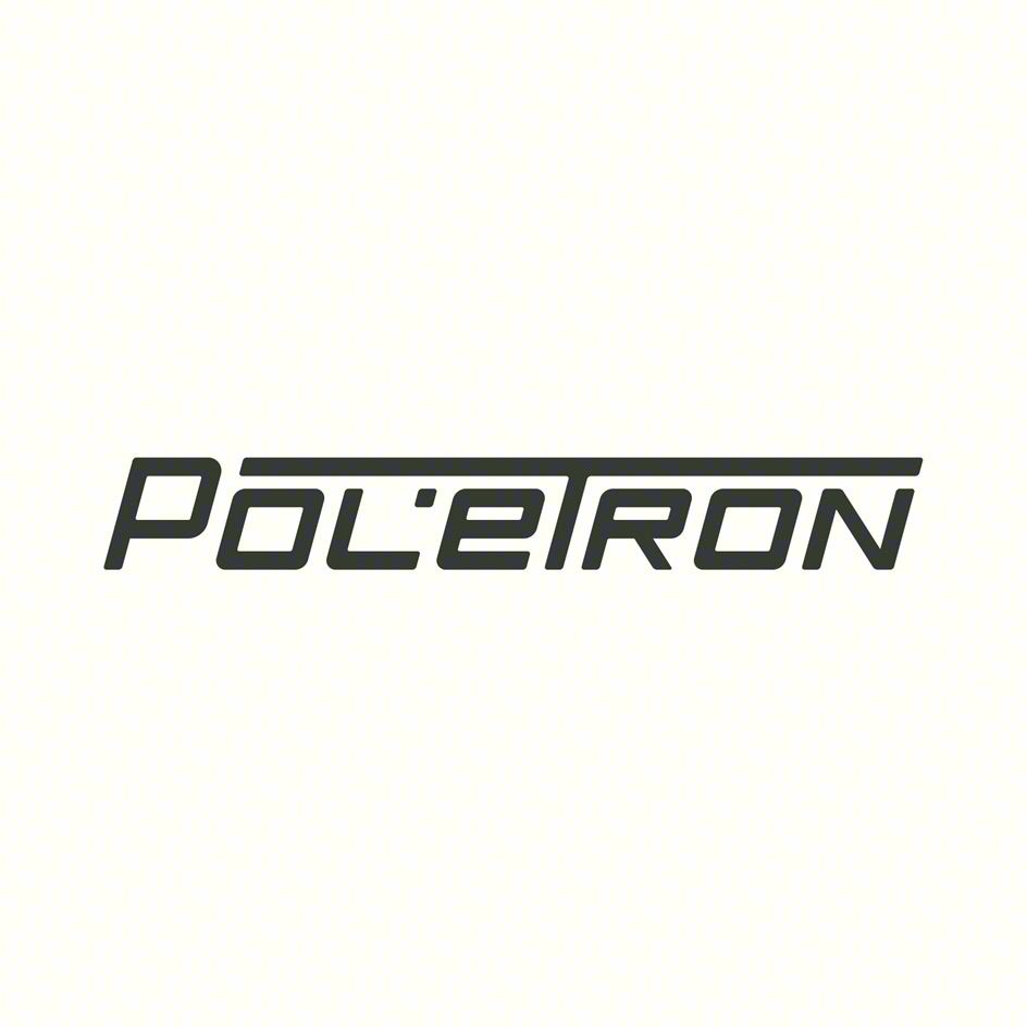Изображение товарного знака POL'ERON