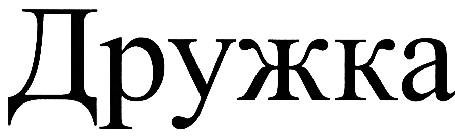 Дружка
