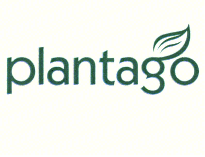 plantago