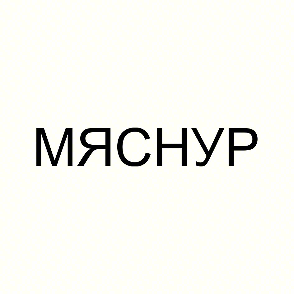 МЯСНУР