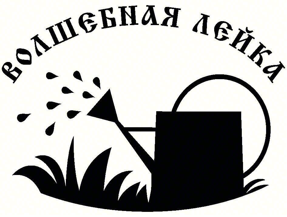 ВОЛШЕБНАЯ ЛЕЙКА