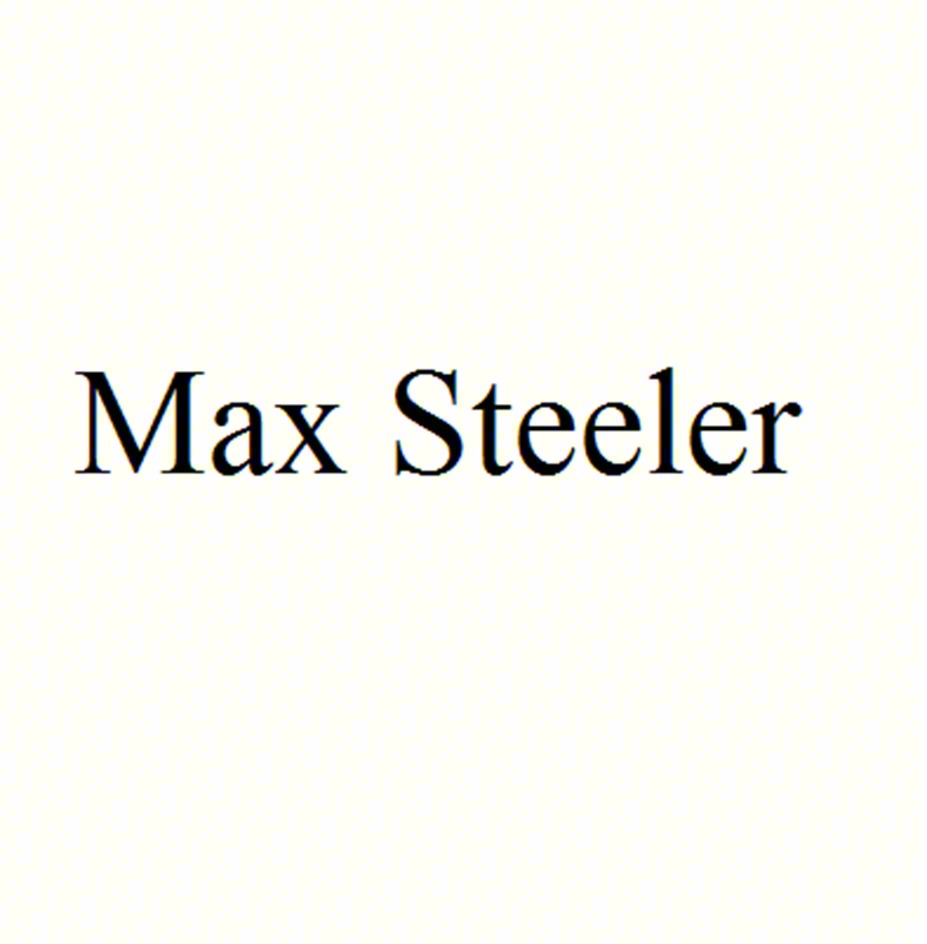 Изображение товарного знака Max Steeler