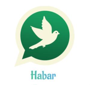 Habar